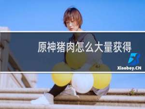 原神猪肉怎么大量获得