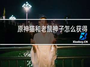 原神猫和老鼠神子怎么获得