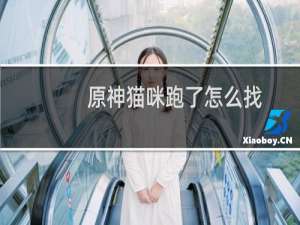 原神猫咪跑了怎么找