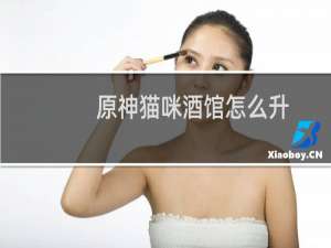 原神猫咪酒馆怎么升