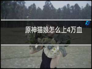 原神猫娘怎么上4万血