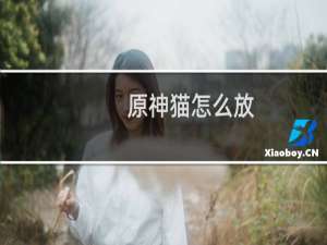 原神猫怎么放
