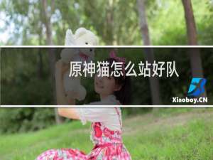 原神猫怎么站好队