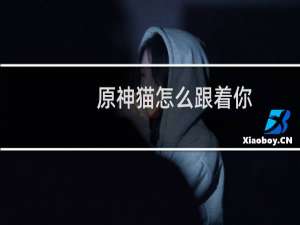 原神猫怎么跟着你