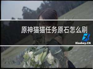 原神猫猫任务原石怎么刷