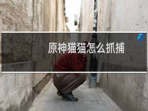 原神猫猫怎么抓捕