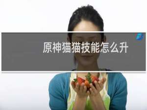原神猫猫技能怎么升