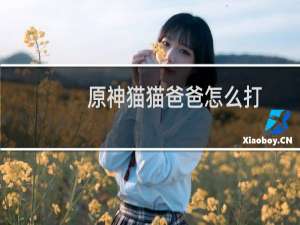 原神猫猫爸爸怎么打