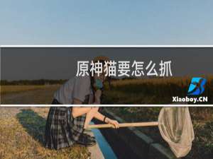 原神猫要怎么抓