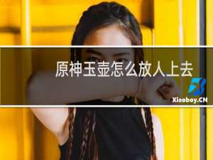 原神玉壶怎么放人上去