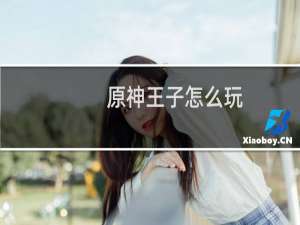 原神王子怎么玩