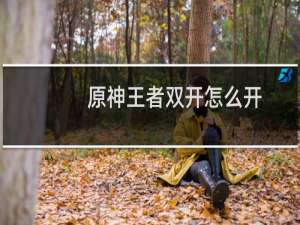 原神王者双开怎么开