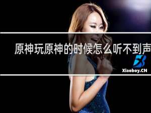 原神玩原神的时候怎么听不到声音