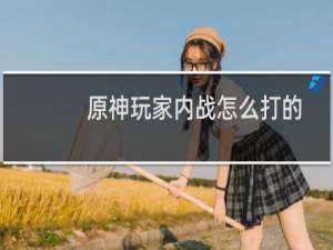 原神玩家内战怎么打的
