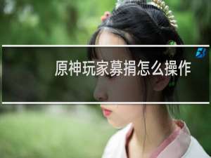原神玩家募捐怎么操作