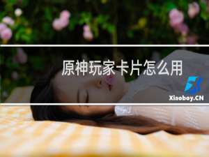 原神玩家卡片怎么用