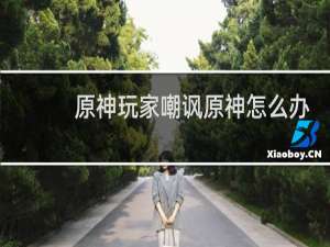 原神玩家嘲讽原神怎么办