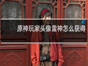 原神玩家头像雷神怎么获得