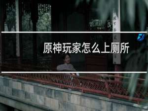 原神玩家怎么上厕所