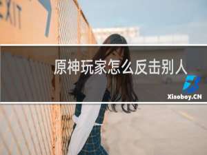 原神玩家怎么反击别人