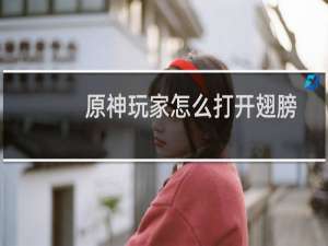 原神玩家怎么打开翅膀