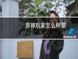 原神玩家怎么种菜