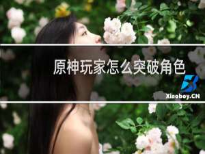 原神玩家怎么突破角色