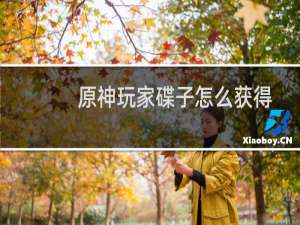 原神玩家碟子怎么获得