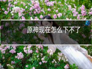 原神现在怎么下不了