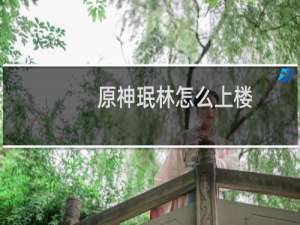 原神珉林怎么上楼