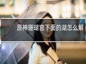 原神珊瑚宫下面的湖怎么解