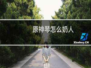 原神琴怎么奶人