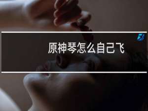 原神琴怎么自己飞