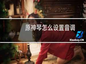 原神琴怎么设置音调