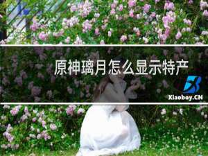 原神璃月怎么显示特产