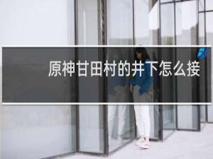 原神甘田村的井下怎么接