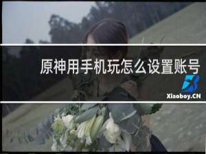 原神用手机玩怎么设置账号