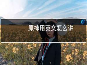 原神用英文怎么讲