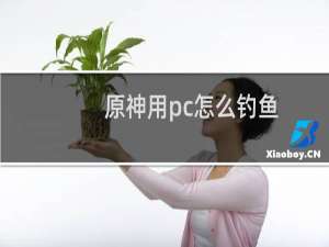 原神用pc怎么钓鱼