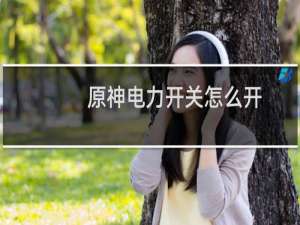 原神电力开关怎么开