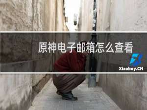 原神电子邮箱怎么查看