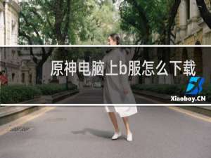 原神电脑上b服怎么下载