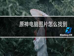 原神电脑图片怎么找到