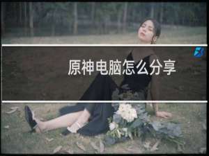 原神电脑怎么分享