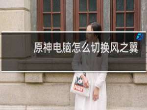 原神电脑怎么切换风之翼