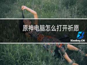 原神电脑怎么打开祈愿