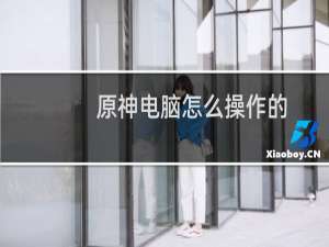 原神电脑怎么操作的