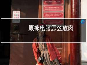 原神电脑怎么放肉
