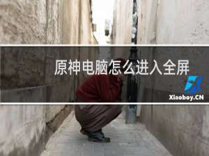 原神电脑怎么进入全屏