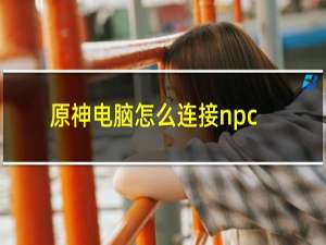 原神电脑怎么连接npc